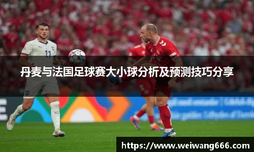 丹麦与法国足球赛大小球分析及预测技巧分享